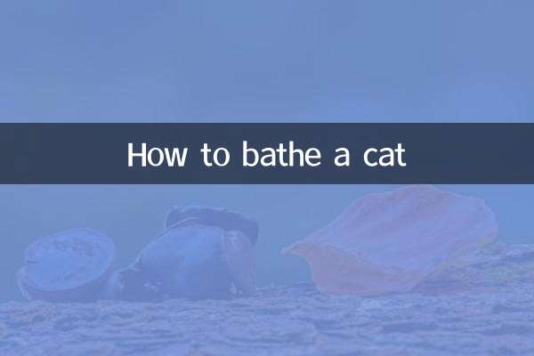 Wie badet man eine Katze?