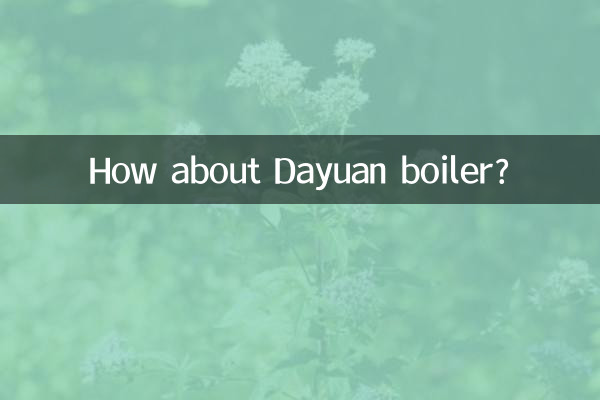 Que tal a caldeira Dayuan?
