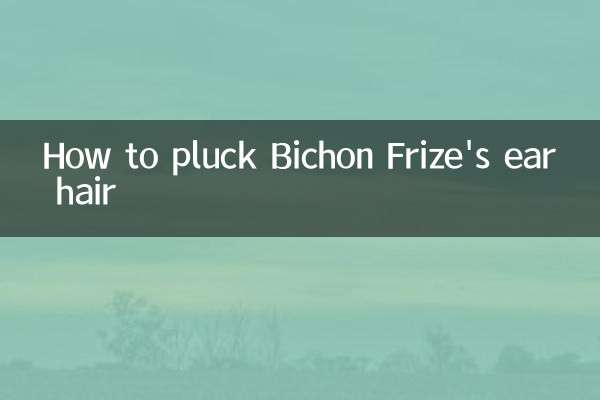 Wie man die Ohrenhaare von Bichon Frise zupft