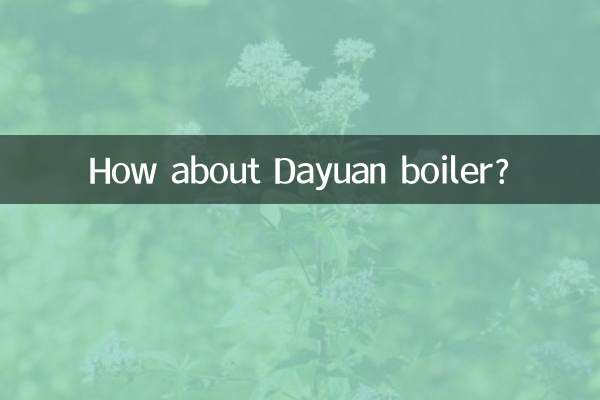 Que tal a caldeira Dayuan?