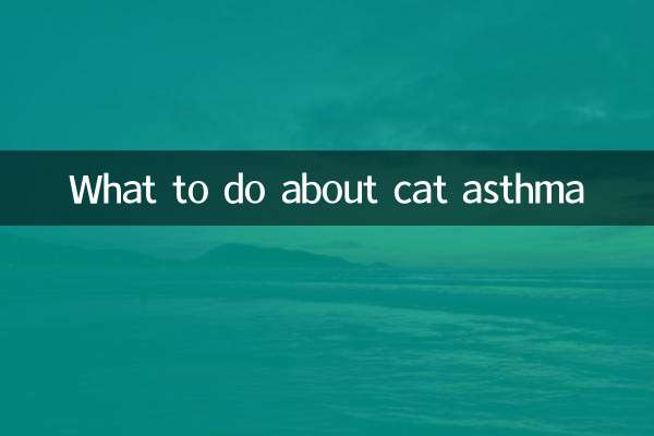 Was tun gegen Katzenasthma?