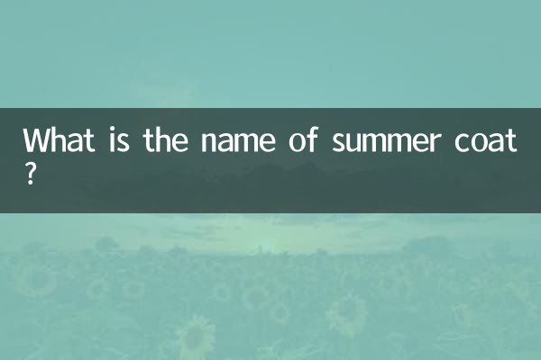 여름코트 이름이 뭔가요?