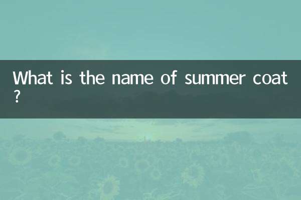 夏天的外套叫什么名字