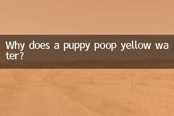 ایک کتے کا پیلا پانی کیوں ہوتا ہے؟