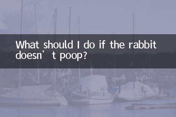 اگر خرگوش مدفوع نکرد چه کار کنم؟