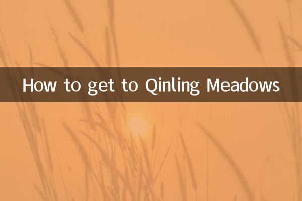 How to get to Qinling Meadows