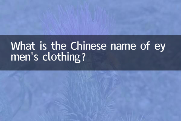 ey男裝中文叫什麼