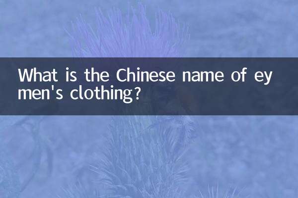 ما هو الاسم الصيني للملابس الرجالية؟