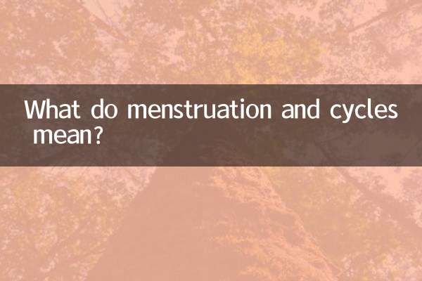 經期和周期是什麼意思