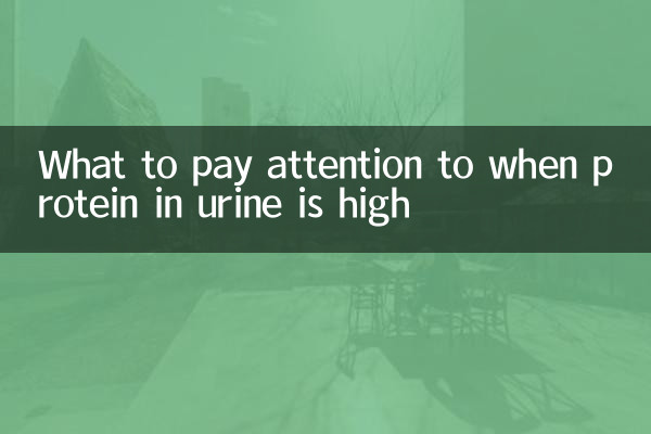 소변 내 단백질 함량이 높을 때 주의할 점