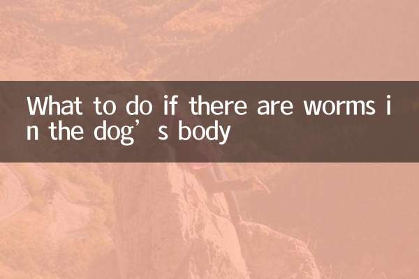 狗體內有蟲怎麼辦