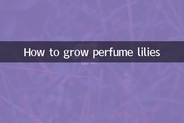 Come coltivare i gigli profumati