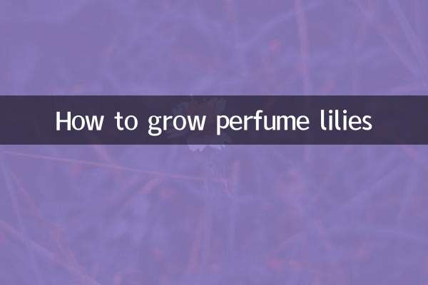 Come coltivare i gigli profumati