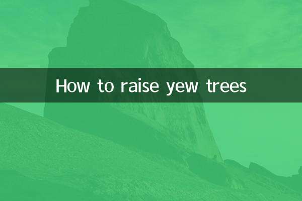 Como cultivar teixos