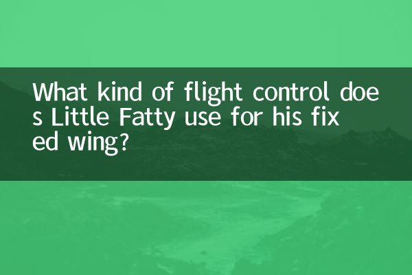 اس کے فکسڈ ونگ کے ل little کس طرح کا فلائٹ کنٹرول بہت کم ہے؟