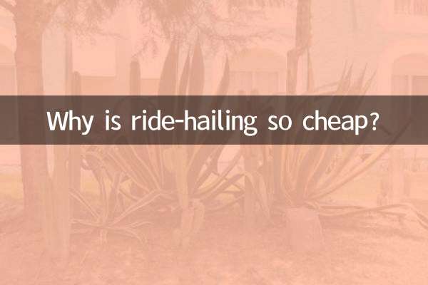 ¿Por qué el transporte compartido es tan barato?