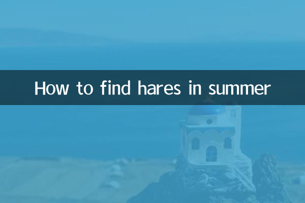 نحوه پیدا کردن خرگوش در تابستان