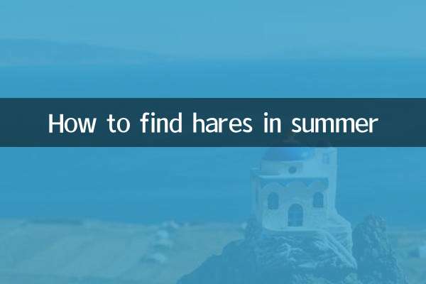 نحوه پیدا کردن خرگوش در تابستان