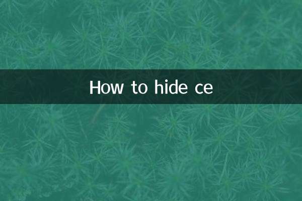CE를 숨기는 방법