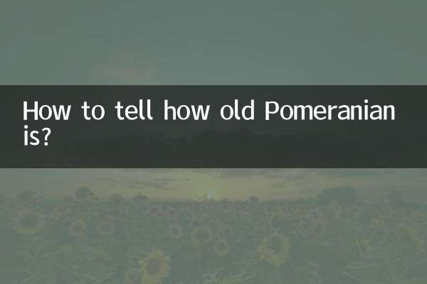 How to tell how old Pomeranian is?