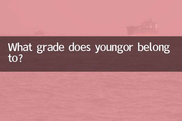 Zu welcher Jahrgangsstufe gehört youngor?