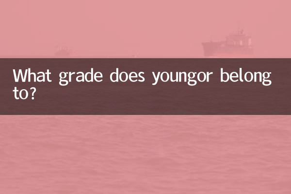 Zu welcher Jahrgangsstufe gehört youngor?