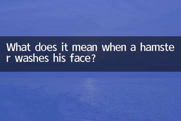 햄스터가 세수를 한다는 것은 무엇을 의미하나요?
