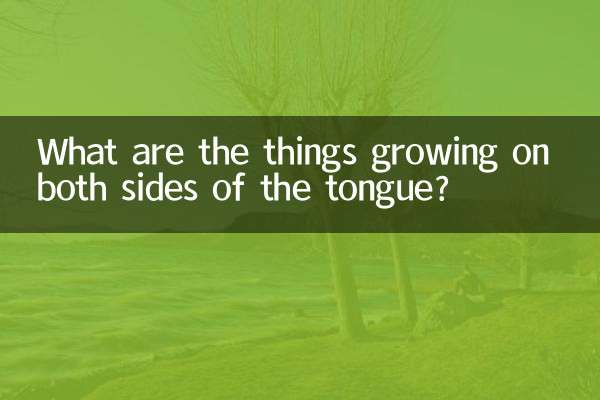 What are the things growing on both sides of the tongue?
