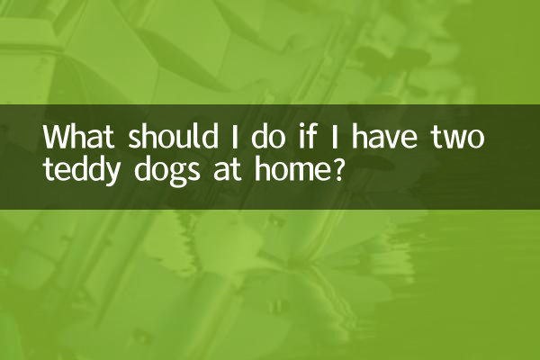 আমার বাড়িতে দুটি টেডি কুকুর থাকলে আমার কী করা উচিত?