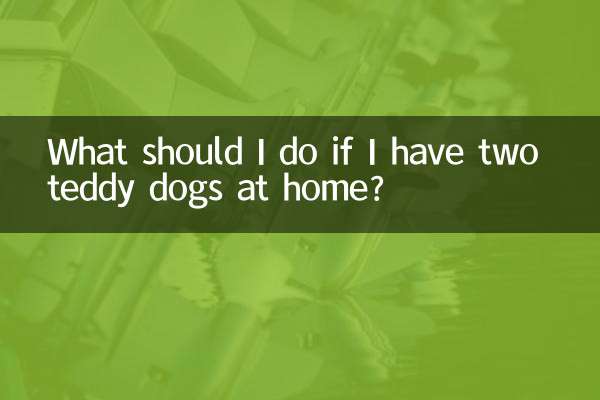 আমার বাড়িতে দুটি টেডি কুকুর থাকলে আমার কী করা উচিত?