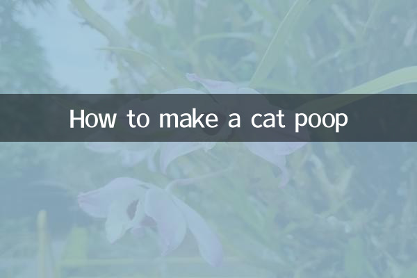 How to make a cat poop