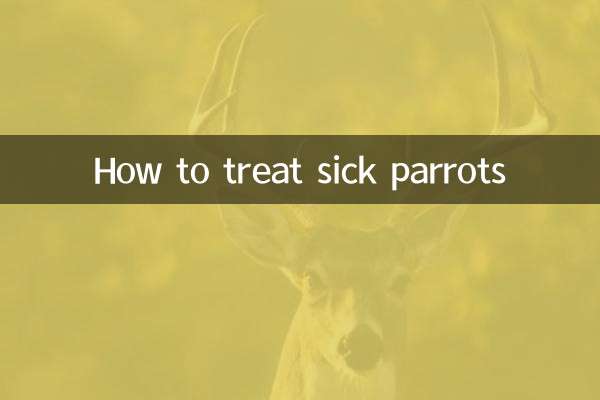 鹦鹉生病怎么治疗