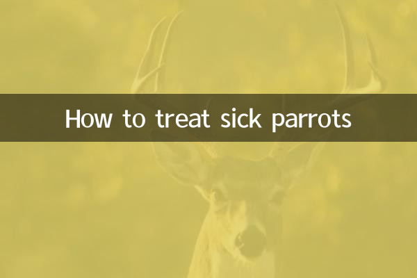 How to treat sick parrots