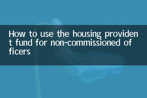 So nutzen Sie die Wohngeldkasse für Unteroffiziere