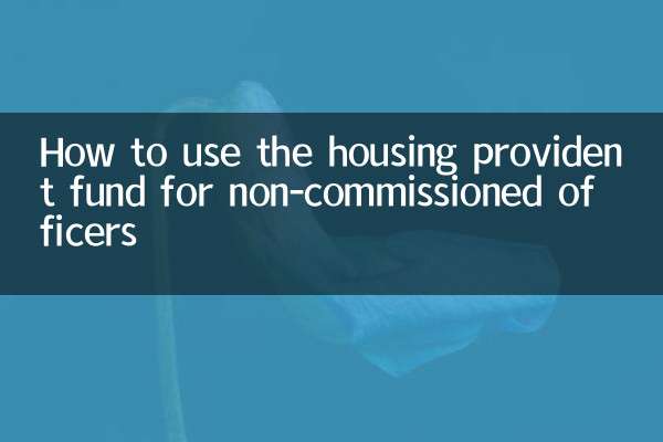 So nutzen Sie die Wohngeldkasse für Unteroffiziere