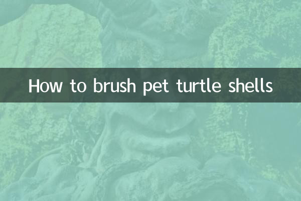 पालतू कछुए के खोल को कैसे ब्रश करें