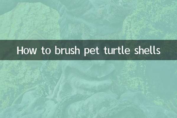 كيفية تنظيف قذائف السلاحف الأليفة