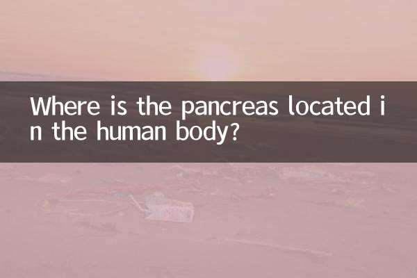 لبلبہ انسانی جسم میں کہاں واقع ہے؟