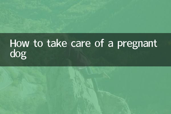 How to take care of a pregnant dog