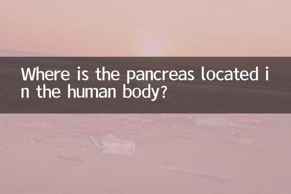 أين يقع البنكرياس في جسم الإنسان؟