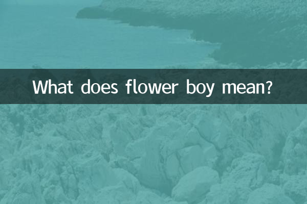 What does flower boy mean?