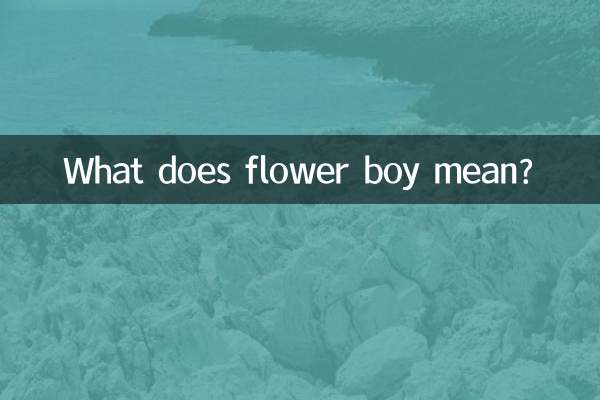 What does flower boy mean?