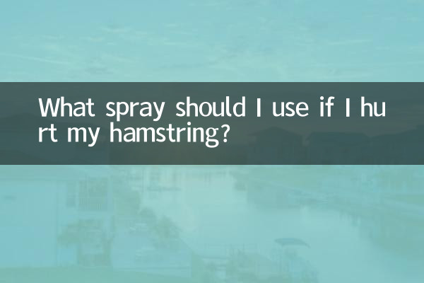 ما هو الرذاذ الذي يجب أن أستخدمه إذا أصبت في أوتار الركبة؟