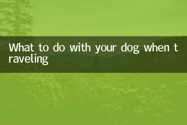 Что делать с собакой во время путешествия