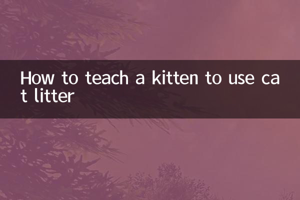 새끼 고양이에게 고양이 모래를 사용하도록 가르치는 방법