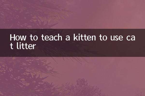 새끼 고양이에게 고양이 모래를 사용하도록 가르치는 방법