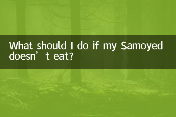 What should I do if my Samoyed doesn’t eat?