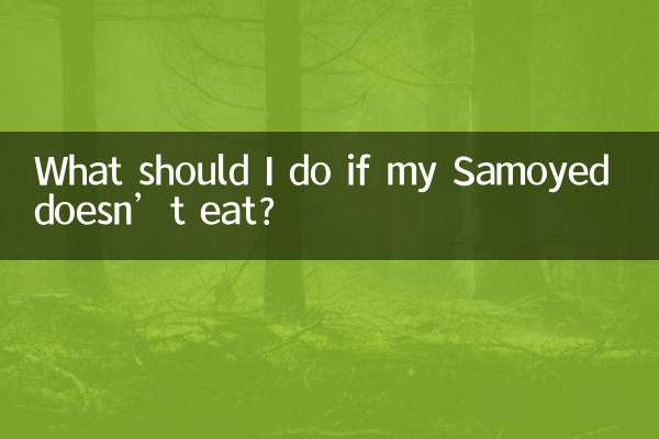 사모예드가 밥을 먹지 않으면 어떻게 해야 하나요?