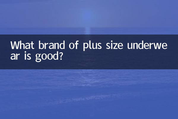大きいサイズの下着はどのブランドが良いですか?
