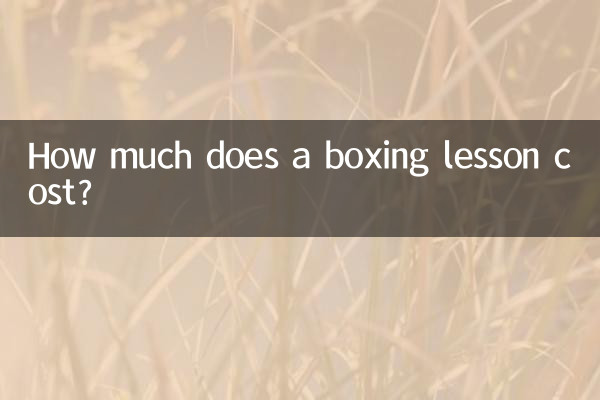 मुक्केबाजी सीखने की लागत कितनी है?